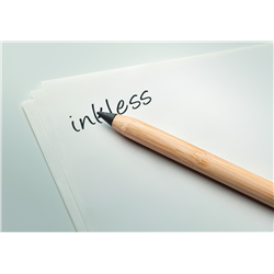 Długopis bez tuszu INKLESS BAMBOO